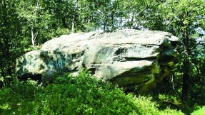 Ciekawostki przyrodnicze ziemi myślenickiej
Kornatka – Diabelski Kamień na Styrku