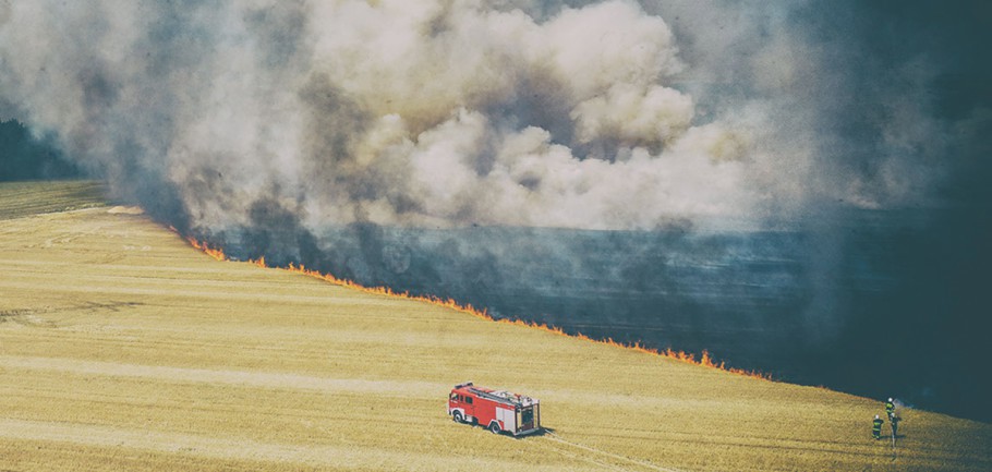 Płoną trawy w całym regionie