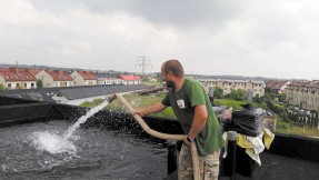 Wszystko zaczyna się od dachu